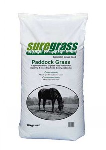 Suregrow Paddock Grass Seed